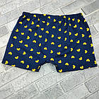 Боксери чоловічі натурально-бавовняні BONO (Арт: 950326) р 50 малюнок 30037300, фото 5