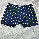 Боксери чоловічі натурально-бавовняні BONO (Арт: 950326) р 50 малюнок 30037300, фото 3