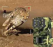 Вулична мисливська камера відеоспостереження із сонячною панеллю A8 4G Камуфляж Камера-пастка з датчиком руху, фото 5