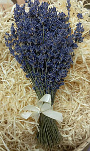 Зріз сушеної лаванди (лаванда)