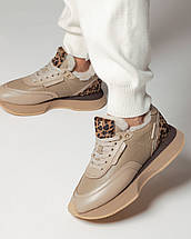 Кросівки жіночі Tucino 6526 36 бежеві леопард шкіра, фото 2