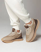 Кросівки жіночі Tucino 6526 36 бежеві леопард шкіра, фото 4