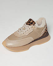 Кросівки жіночі Tucino 6526 36 бежеві леопард шкіра, фото 5