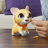 Інтерактивна іграшка Hasbro Furreal Friends Маленький вихованець в асорт. арт. E8899, фото 3