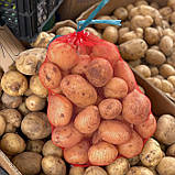 Сітка мішечок 22х33см 2 кг. (50шт) для захисту винограду від ос червона, фото 5