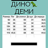 Дитяча куртка для хлопчика демісезонна Діно Комбі на весну-осінь Осіння демі курточка для дітей 98, фото 2