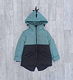 Куртка дитяча на хлопчика демісезонна Діно Комбі - весна-осінь Весняна курточка для дітей від 2 років 98, фото 4
