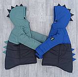 Куртка дитяча на хлопчика демісезонна Діно Комбі - весна-осінь Весняна курточка для дітей від 2 років 98, фото 7