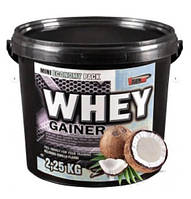 Гейнер Vision Nutrition Whey GAINER 2500 грам  Смак : Кокос