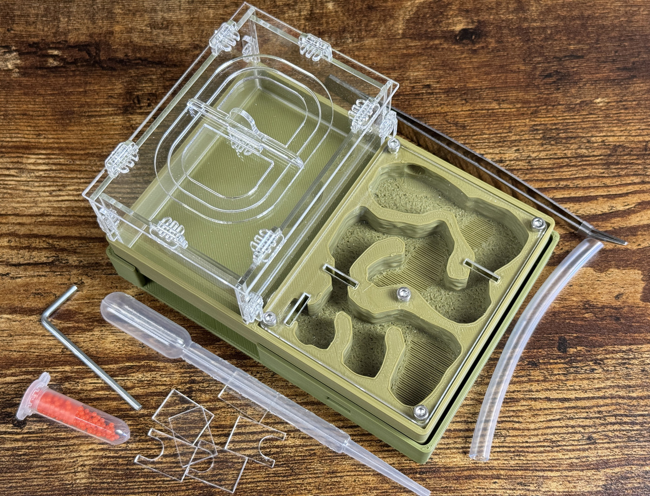 Повний комплект: мурашина ферма "Мрія новачка" + мурахи messor structor (жнець) , корм та аксесуари. Салатовий, Матка + 20-35 робочих та солдатів . Молода колонія, фото 1