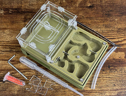 Мурашина ферма "Мрія новачка"