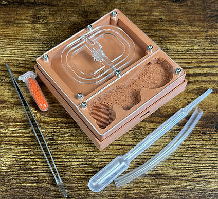 Формікарій "ЕКО"