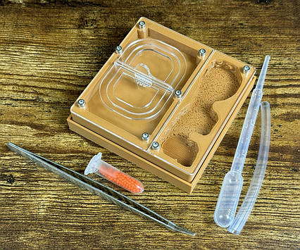 Формікарій "ЕКО"