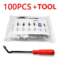 Універсальний автомобільний набір кліпс 100 шт + Інструмент