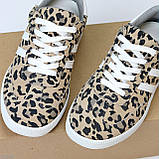 Легкі зручні жіночі кеди натуральна шкіра/замша леопард, фото 2