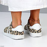 Легкі зручні жіночі кеди натуральна шкіра/замша леопард, фото 3