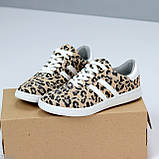 Легкі зручні жіночі кеди натуральна шкіра/замша леопард, фото 6