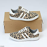 Легкі зручні жіночі кеди натуральна шкіра/замша леопард, фото 7