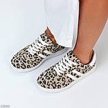 Легкі зручні жіночі кеди натуральна шкіра/замша леопард, фото 9