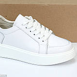 Модні білі шкіряні кеди крипери на шнурівці, натуральна шкіра колір на вибір, фото 3