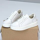 Модні білі шкіряні кеди крипери на шнурівці, натуральна шкіра колір на вибір, фото 4