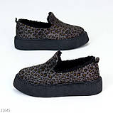 Теплі зручні сірі леопардові автоледі актуальний лаконічний дизайн, фото 3