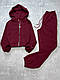 Жіночий базовий теплий осінній прогулянковий костюм худи на блискавці та прямі штани на манжеті тринить на флісі, фото 6