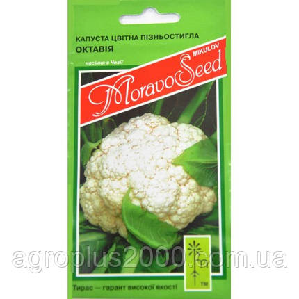 Насіння Капуста цвітна Октавія 0,2 грама Moravoseed, фото 1