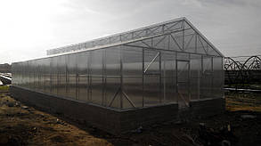 Теплиця Мітлайдера 6х8 під полікарбонат преміум 10 мм (ширина 6 метрів)