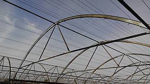 Теплиця Мітлайдера 6х8 під полікарбонат преміум 8 мм (ширина 6 метрів)