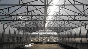 Теплиця Мітлайдера 6х8 під полікарбонат стандарт 10 мм (ширина 6 метрів)