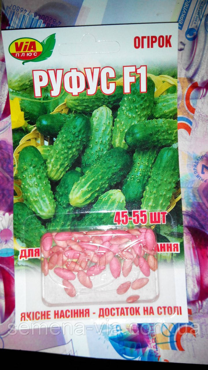 Насіння огірків "Руфус F1" ТМ VIA-плюс, 45-55 насіння (Польща), фото 1