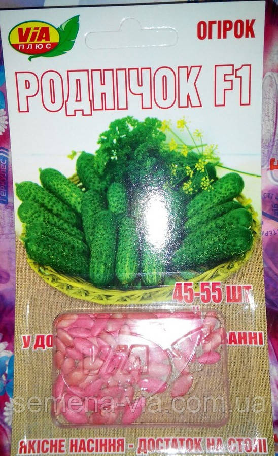 Насіння огірків "Родник F1" ТМ VIA-плюс, 45-55 насіння (Польща), фото 1