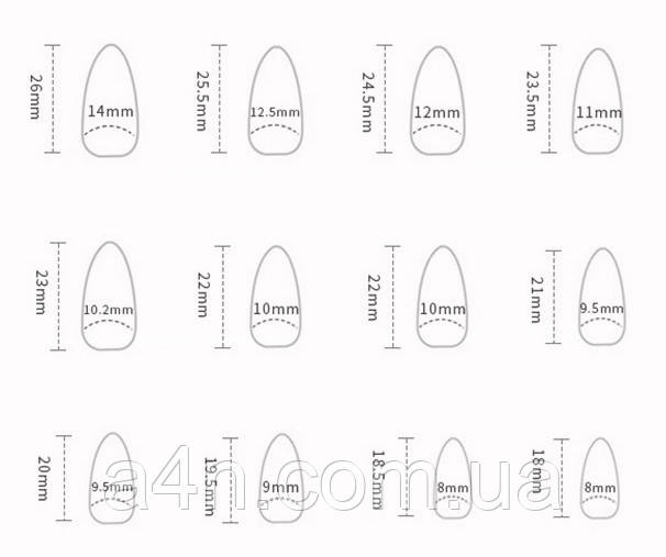 Накладные ногти - Интернет-магазин A4N Размеры накладных ногтей