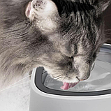 Миска-непроливайка Bowl для домашніх тварин об'ємом 1.5 л. HB-20, фото 9