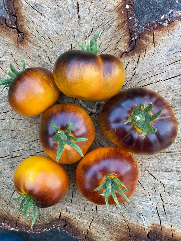 Насіня томату Люсі Джем (Lucid Gem) 15 шт, фото 1