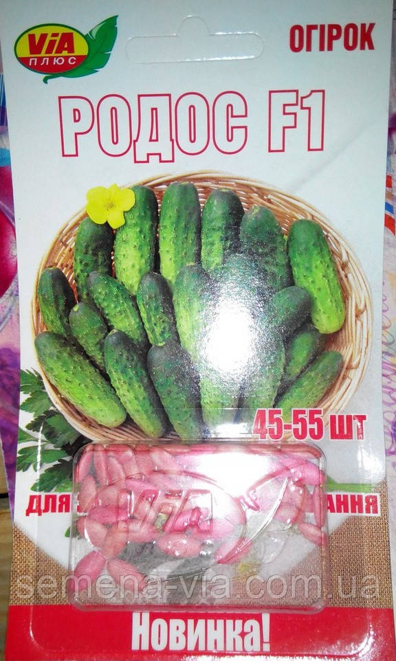 Насіння огірків "Родос F1" ТМ VIA-плюс, 45-55 насіння (Польща)