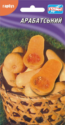 

Семена тыквы Арабатская 10 шт.
