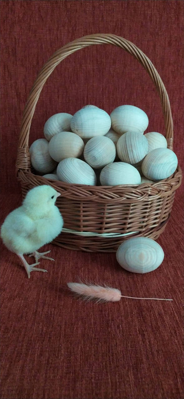 

Яйцо куриное высота 6см под роспись | под декупаж | под декорирование