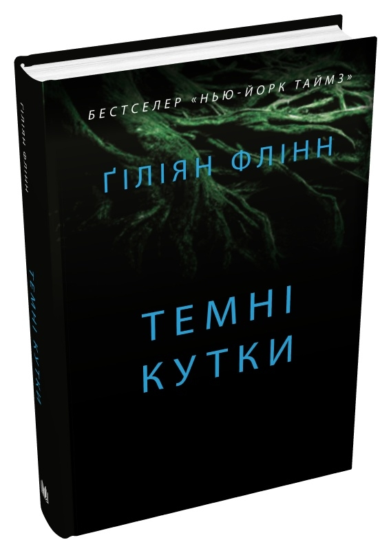 Темні кутки Гіліян Флінн
