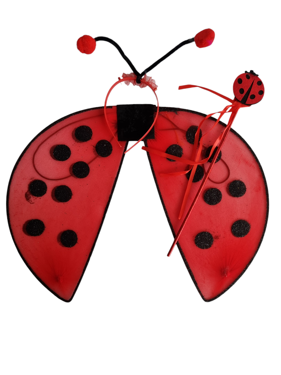 Набір карнавальні крила Сонечка, 45х35 см, фото 1