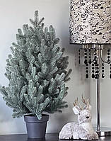 Ялинка лита в горщику 70 см блакитна новинка Traditional HVOYA