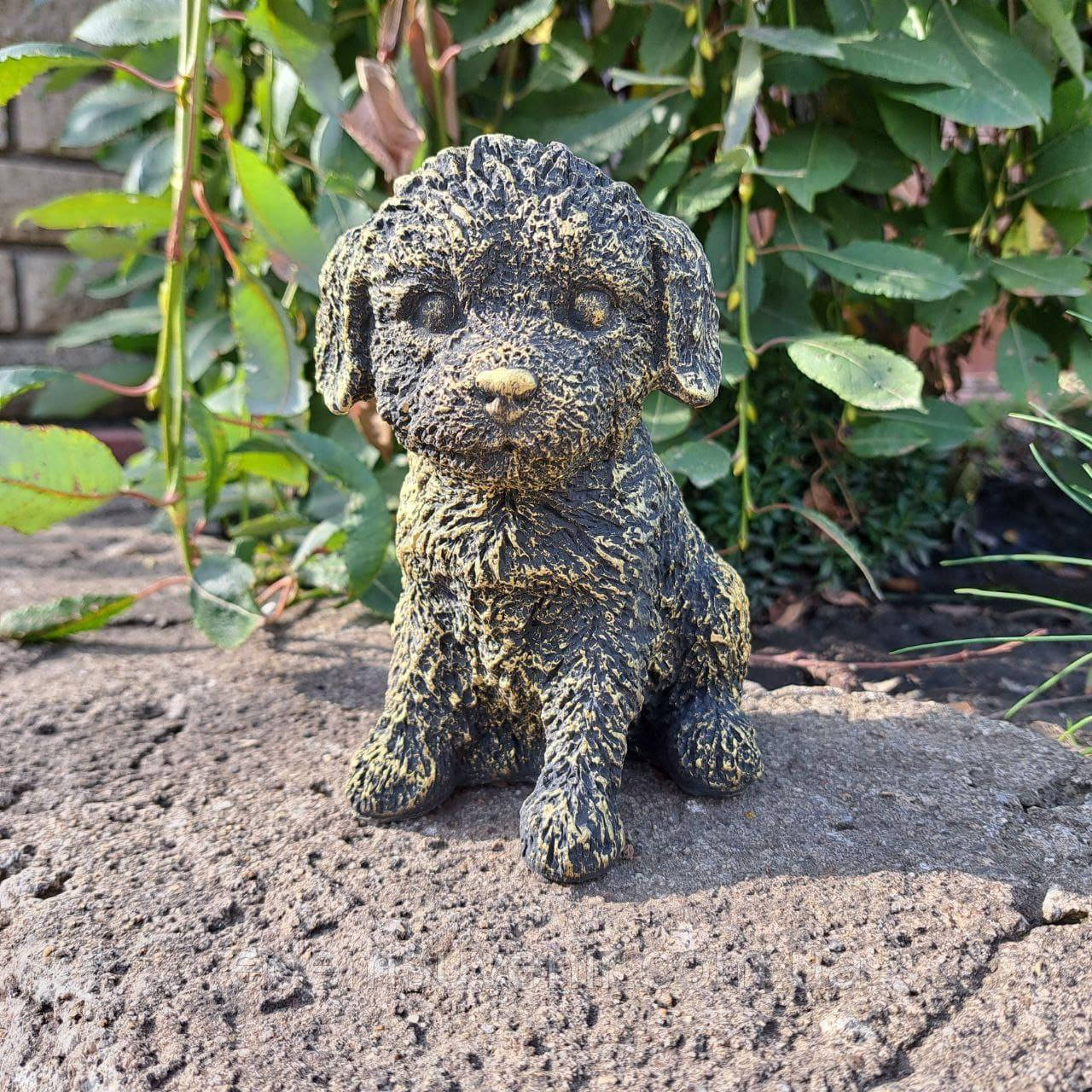 Декоративна скарбничка Бордер-коллі, золота (16х11 см), скарбничка для грошей, скарбничка у вигляді собачки