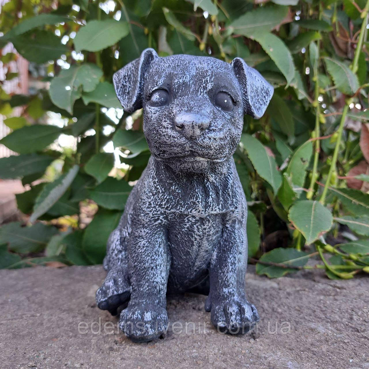 Декоративна скарбничка Лабрадор, срібний (16х10 см), скарбничка для грошей, скарбничка у вигляді собачки