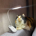 Світодіодна настільна лампа акумуляторна на прищіпці Led лампа usb Wi-light 829В. Біла, фото 3