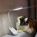 Світодіодна настільна лампа акумуляторна на прищіпці Led лампа usb Wi-light 829В. Біла, фото 2