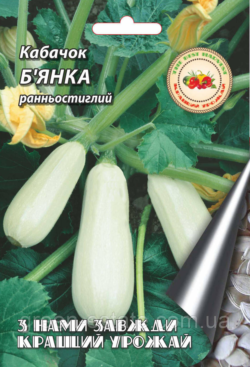 Кабачок Бьянка 20 р.