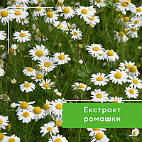 Екстракт-концентрат ромашки, 50 мл