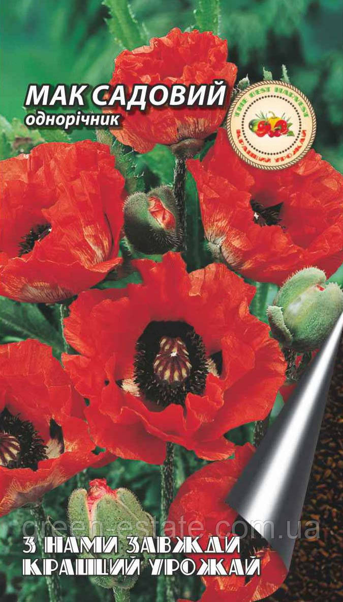 Мак садовий