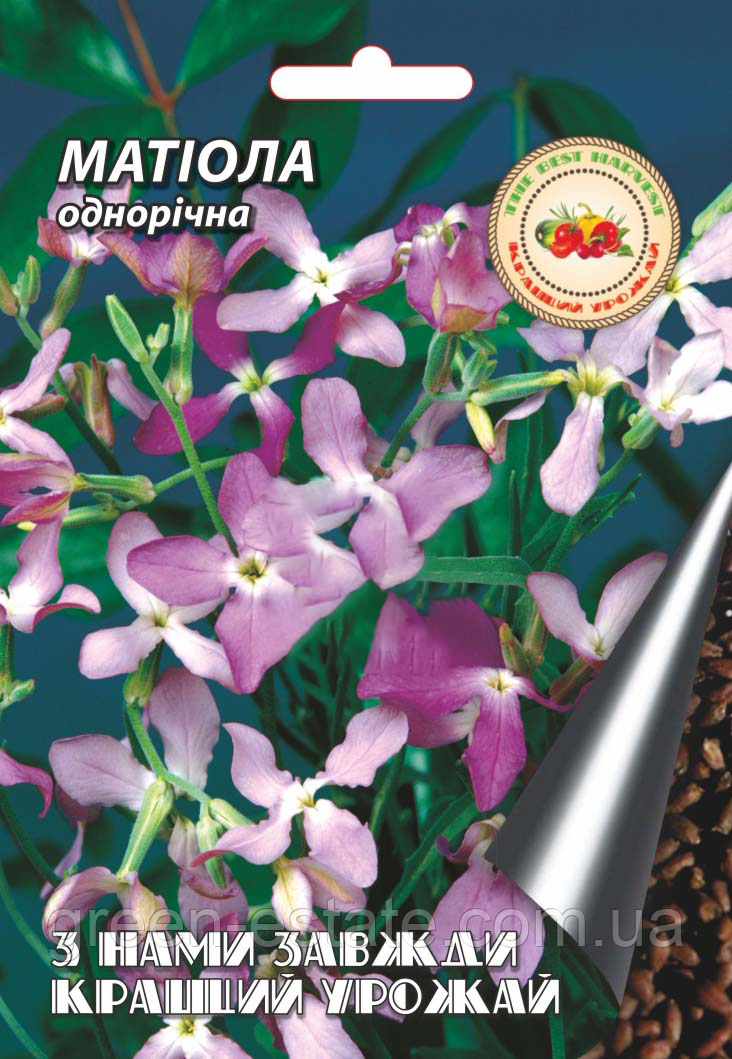 Матіола 8 р.